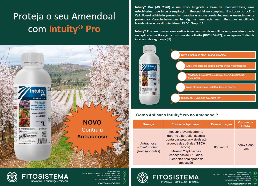 INTUITY PRO (FITOSISTEMA), no contolo da antracnose da amendoeira